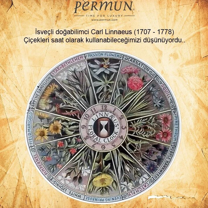 Предшественники и последователи