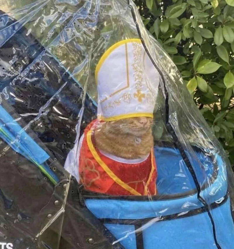 Неореализма вам в ленту