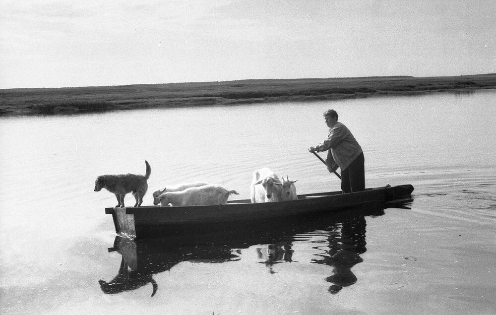 Родная земля-1