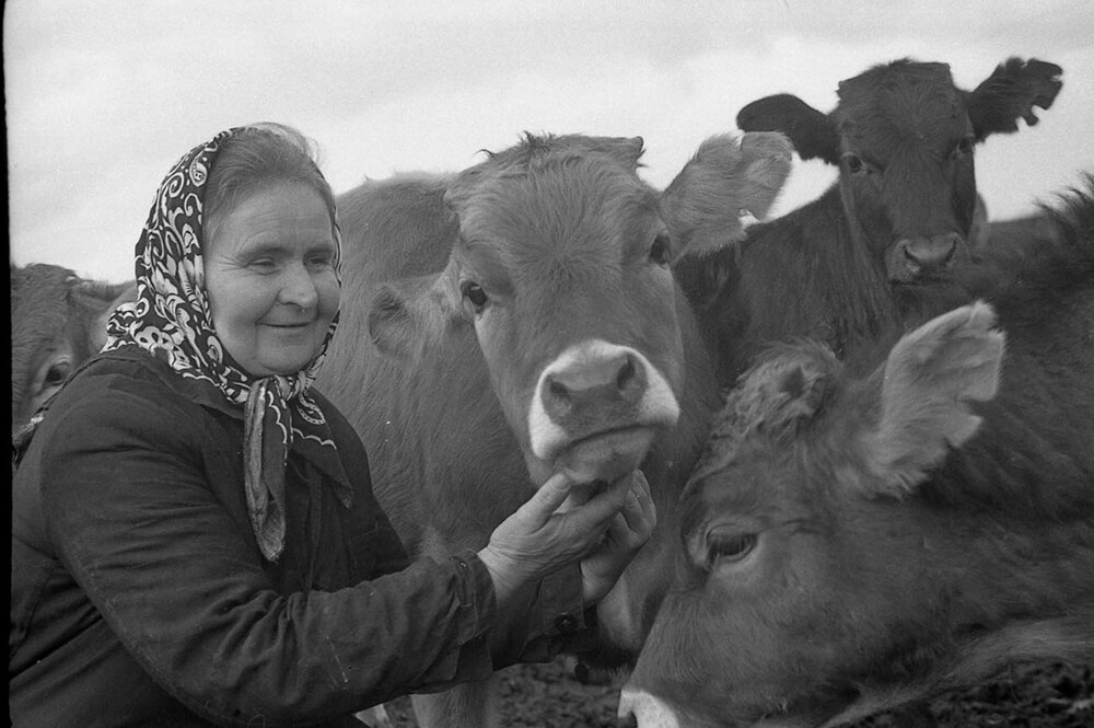Родная земля-1