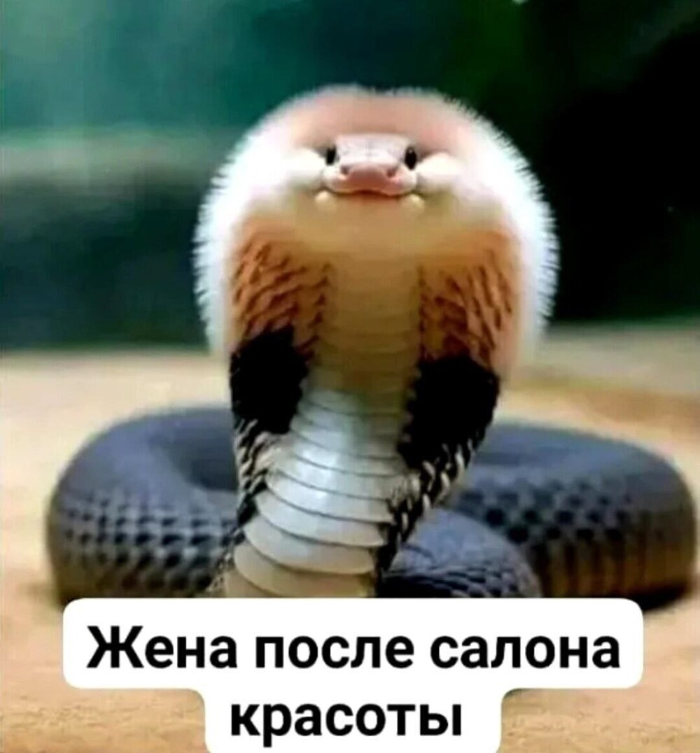 Первый пост, для поднятия настроения