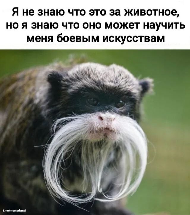 Первый пост, для поднятия настроения