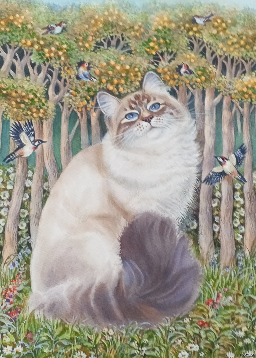 Кот Дассен