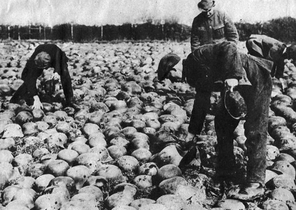 Из немецких солдатских касок англичане делали дороги