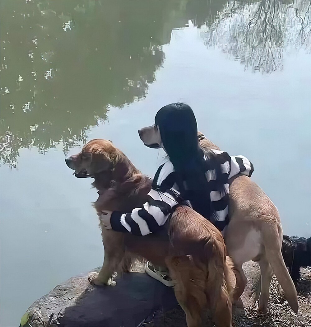 На общую тему 