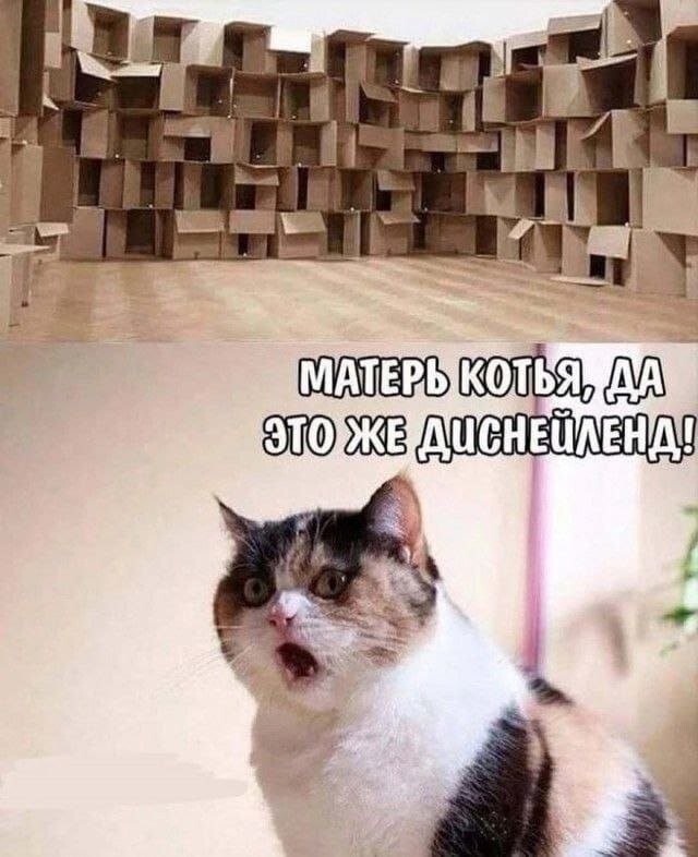 Скрины из соцсетей