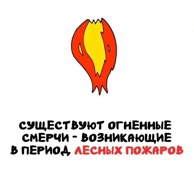 А вдруг ты не знал…