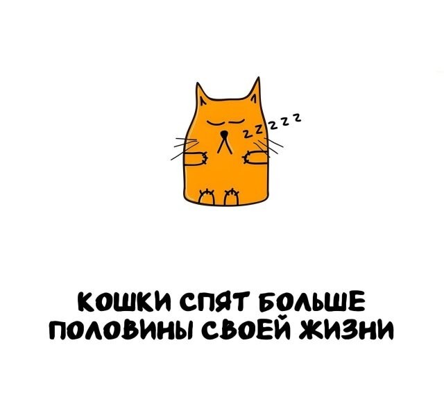 А вдруг ты не знал…