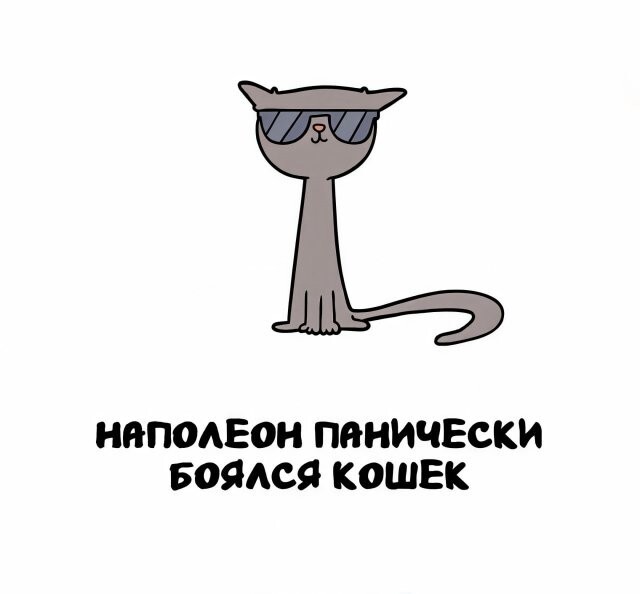 А вдруг ты не знал…