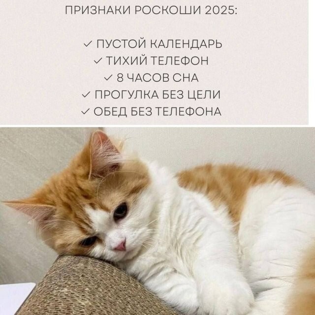 Не ищите здесь смысл. Здесь в основном маразм