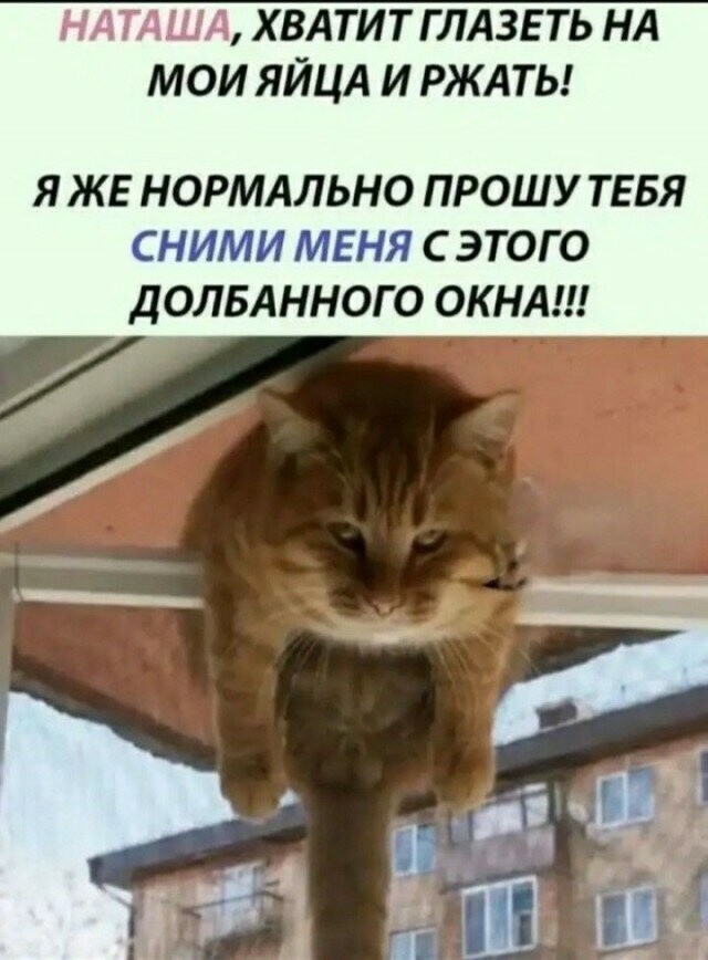 Продолжаем барражировать соцсети