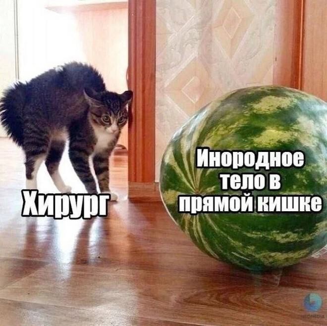 Продолжаем барражировать соцсети