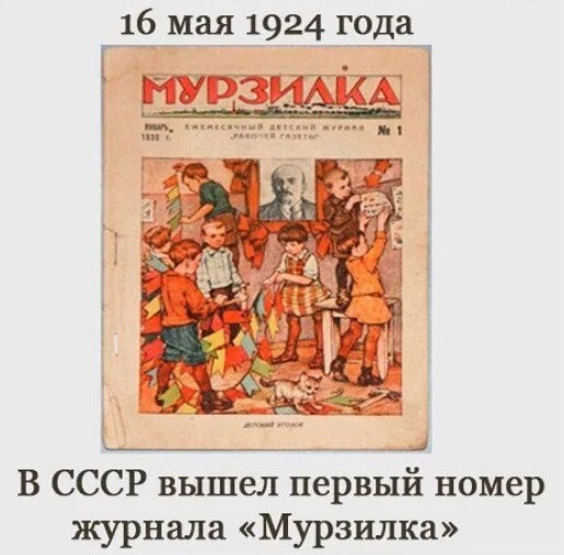 О политике и не только