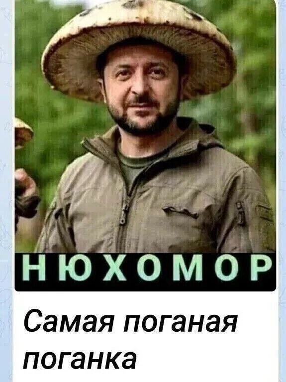 О политике и не только