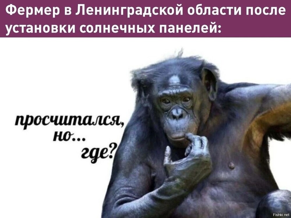 У Игоря Надежного спросить