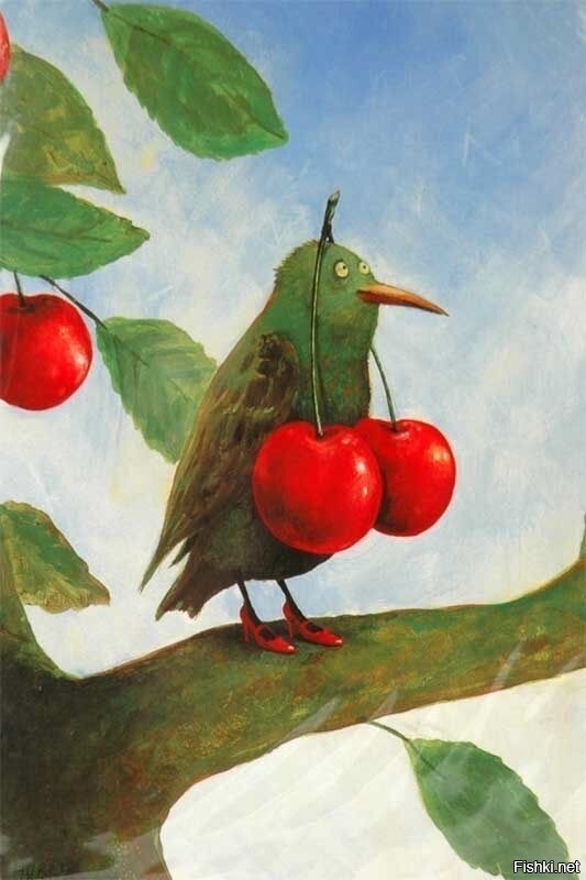 Солянка