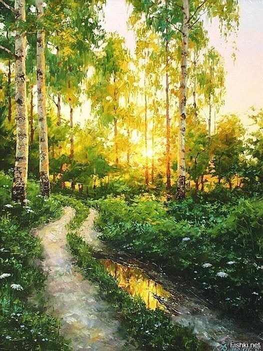Солянка