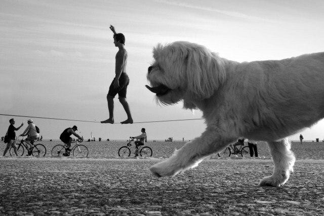 Пошевеливайся. Фотограф Мойзес Леви