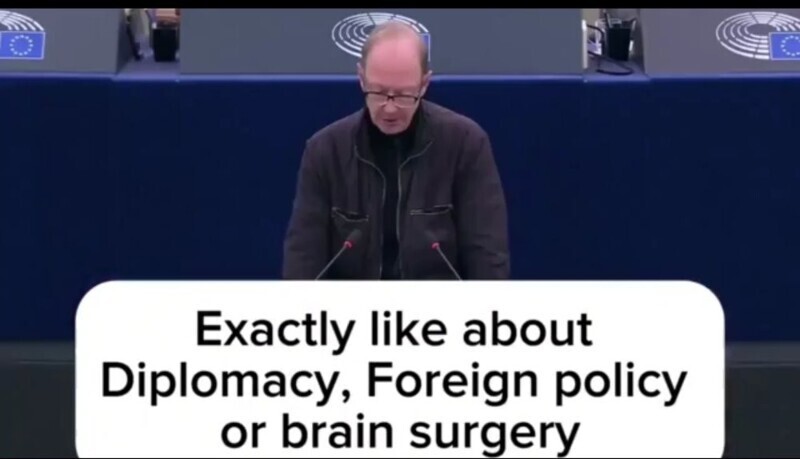 Депутат Европарламента из Германии об интеллекте Каи Каллас