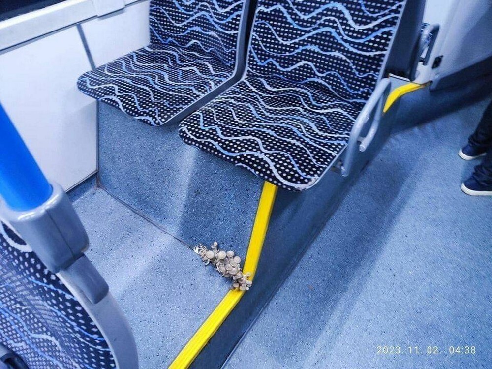 На общую тему 