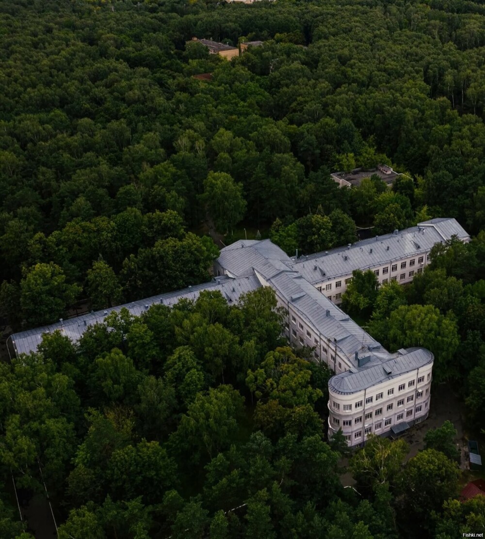 Солянка