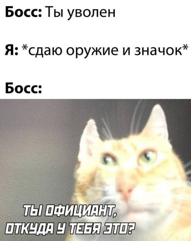 Скрины из соцсетей