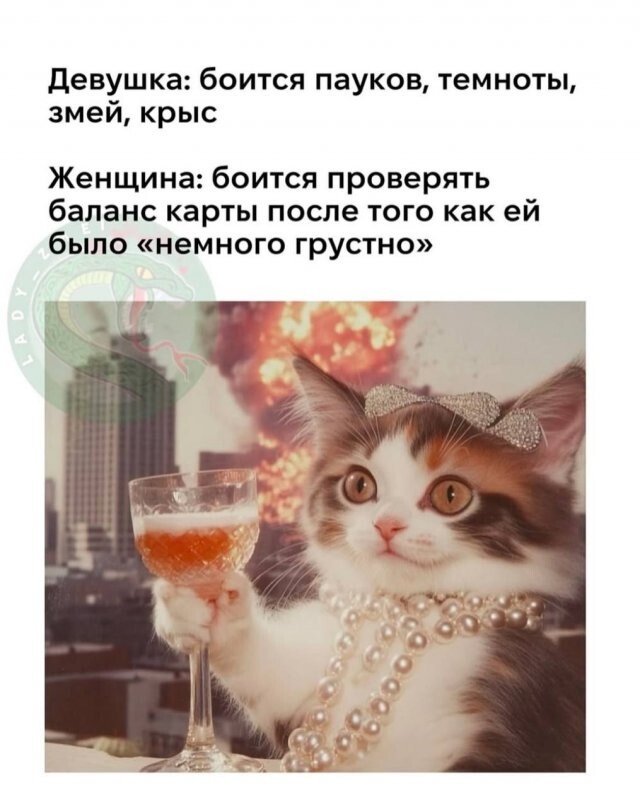 Скрины из соцсетей
