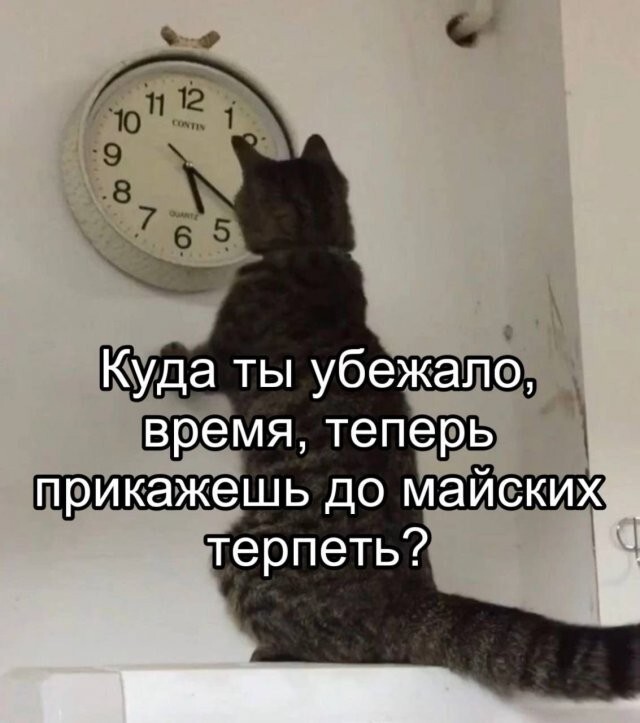 Скрины из соцсетей