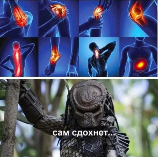 Скрины из соцсетей
