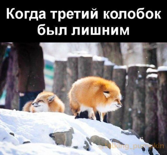 Скрины из соцсетей