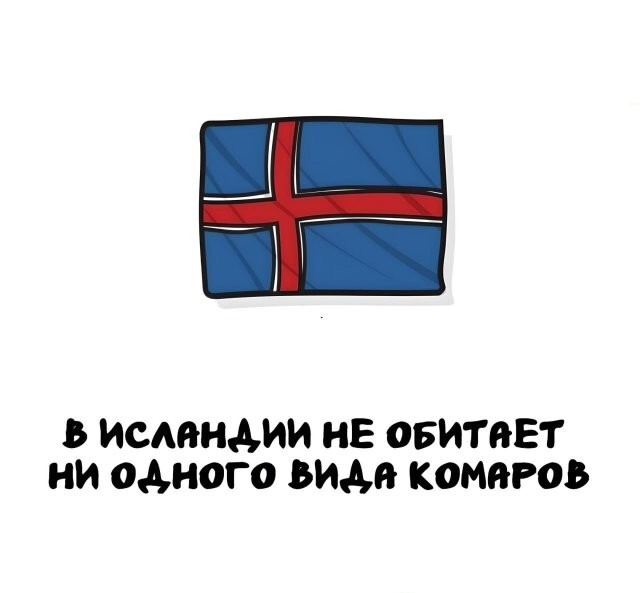 А вдруг ты не знал…