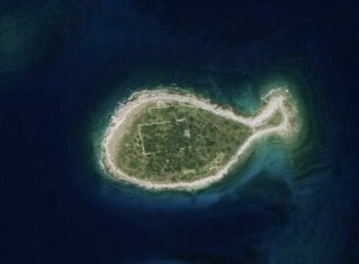 4. В море много рыбы 