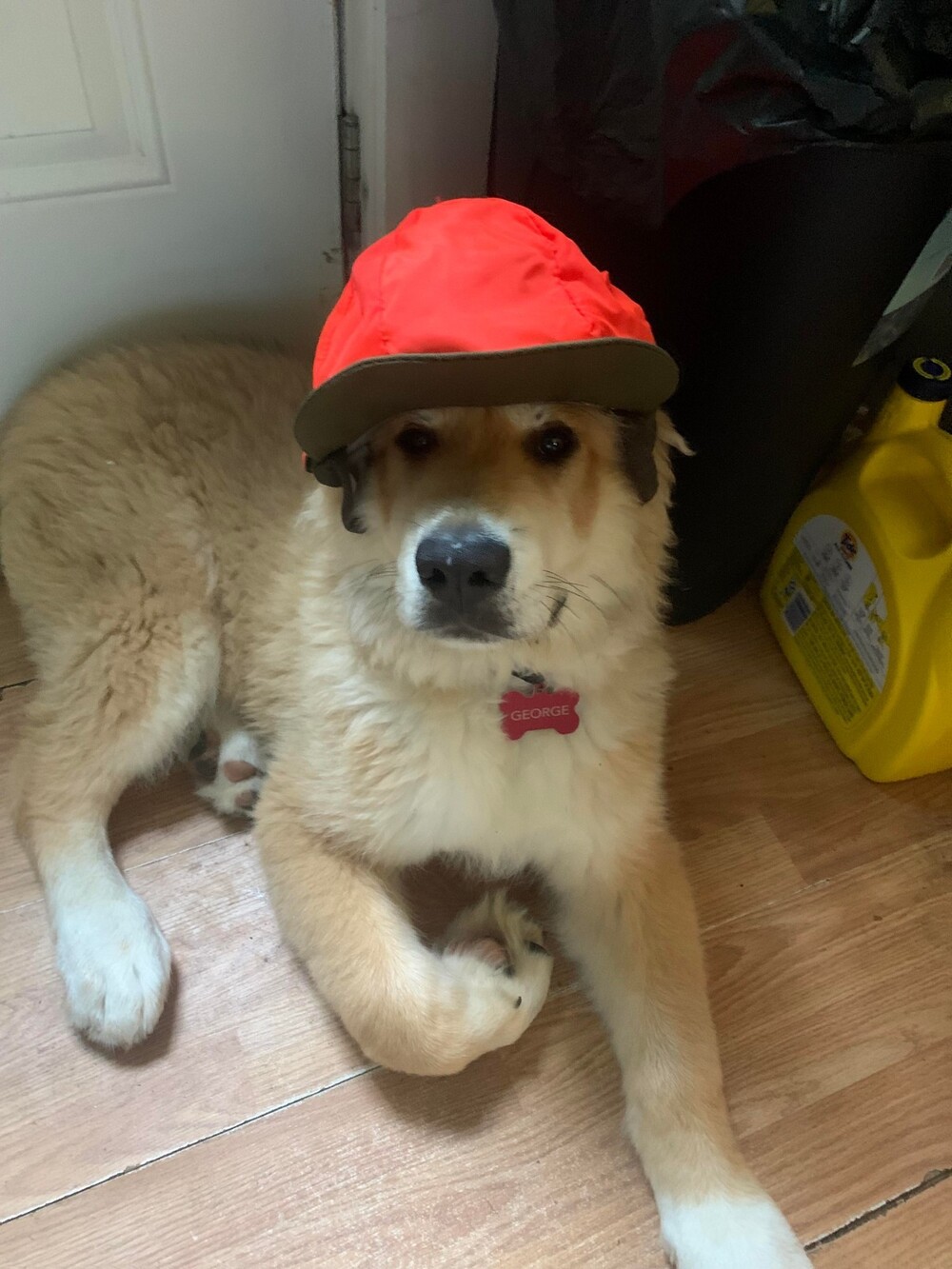  На общую тему 