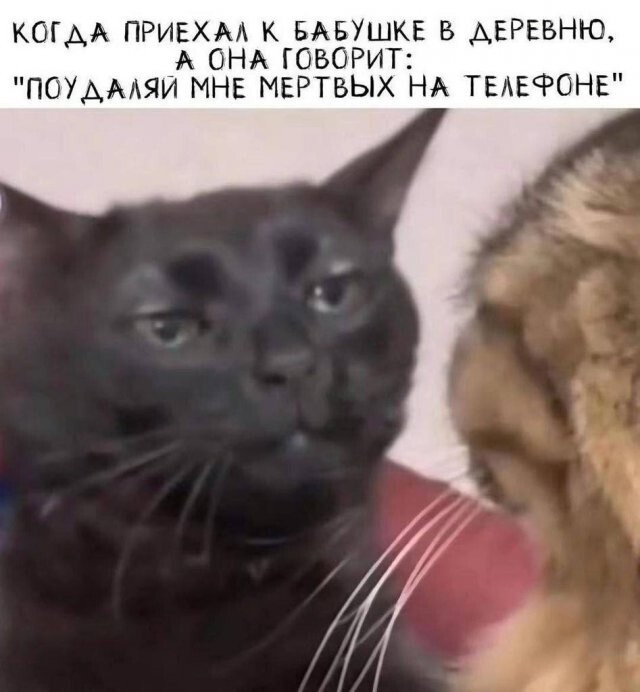 Скрины из соцсетей