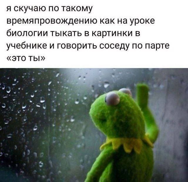 Скрины из соцсетей