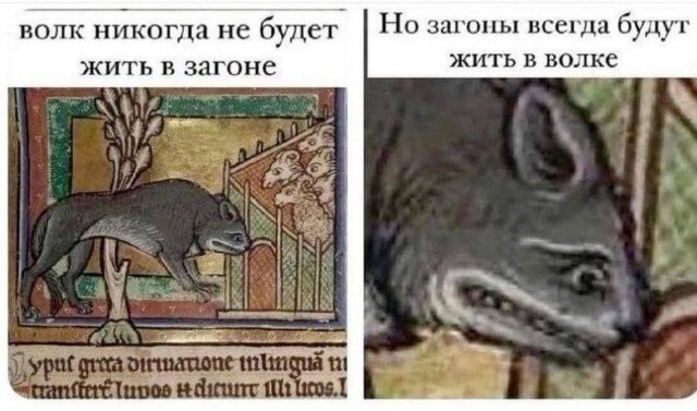 Скрины из соцсетей