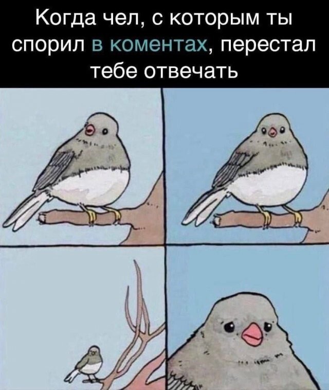 Скрины из соцсетей