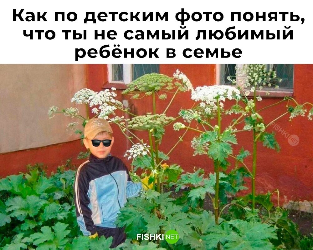 Скрины из соцсетей