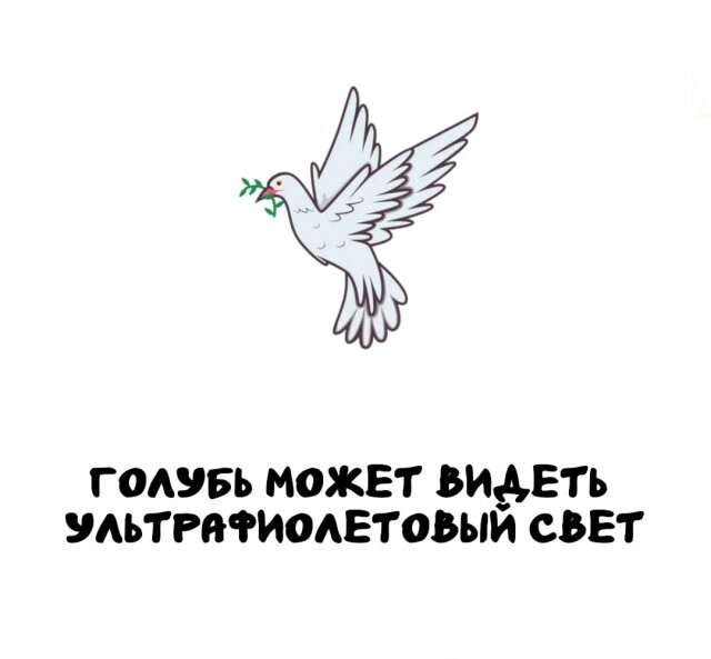 А вдруг ты не знал…