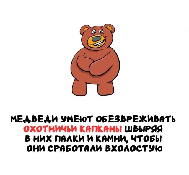А вдруг ты не знал…
