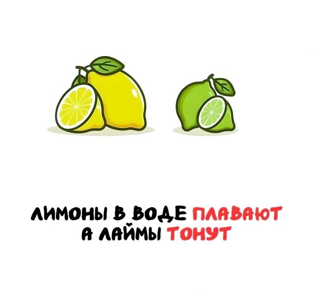 А вдруг ты не знал…