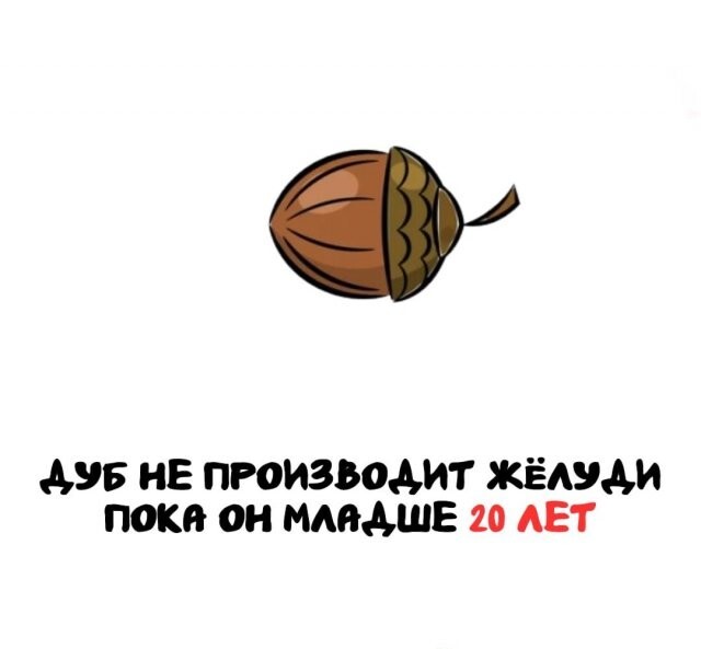 А вдруг ты не знал…