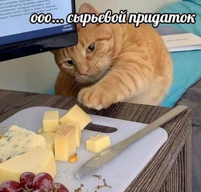 Не ищите здесь смысл. Здесь в основном маразм
