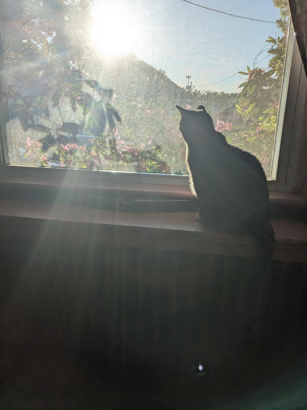 11. Момент, который никогда не повторится