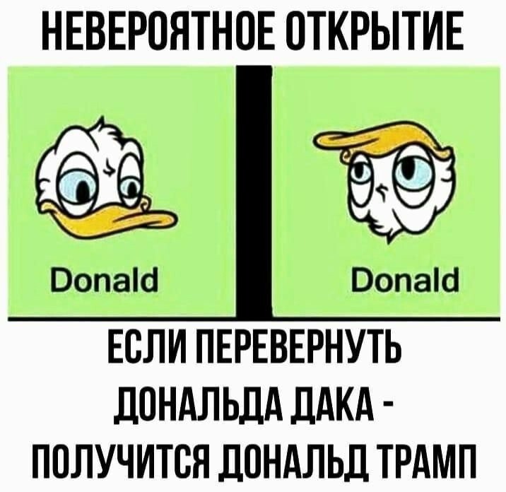 Лишь о политике