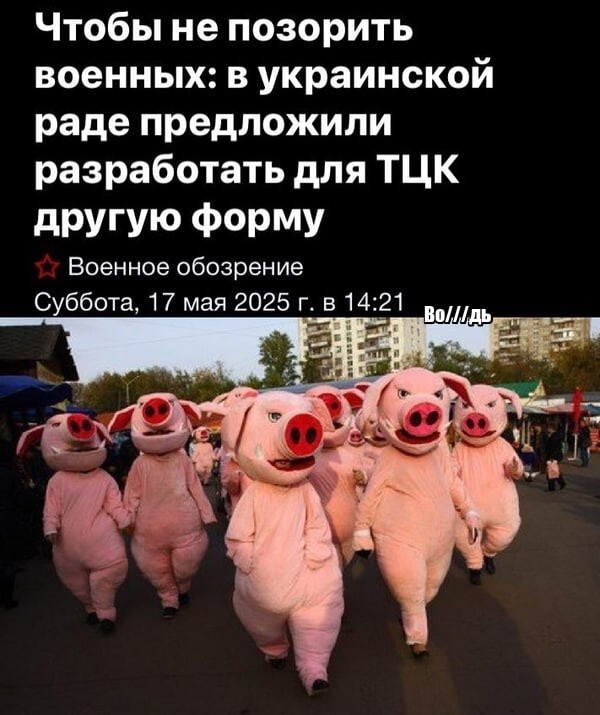 Лишь о политике