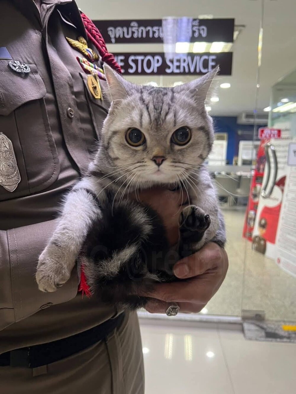 Самое милое задержание