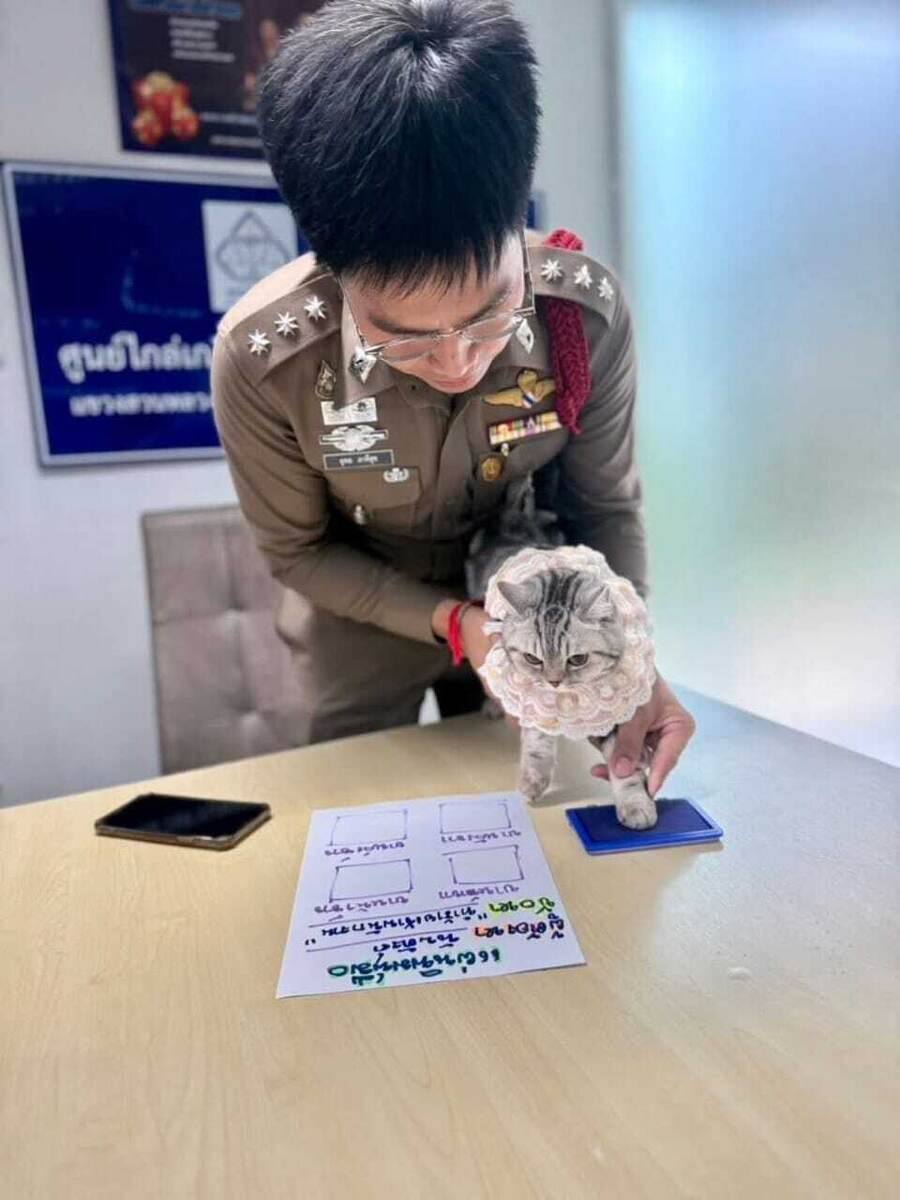 Самое милое задержание