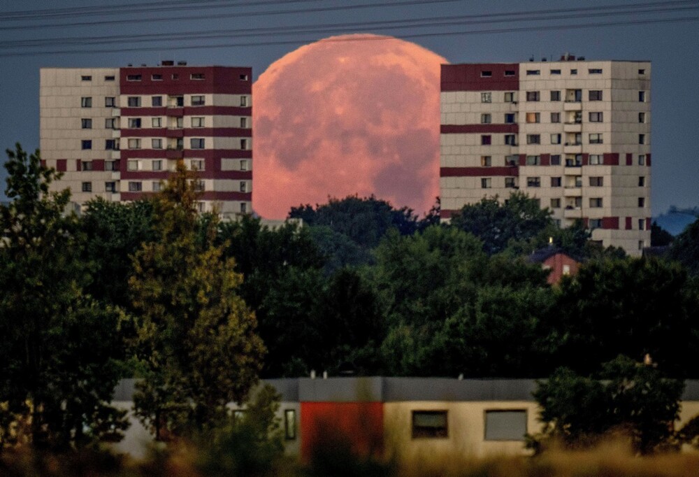 На общую тему 