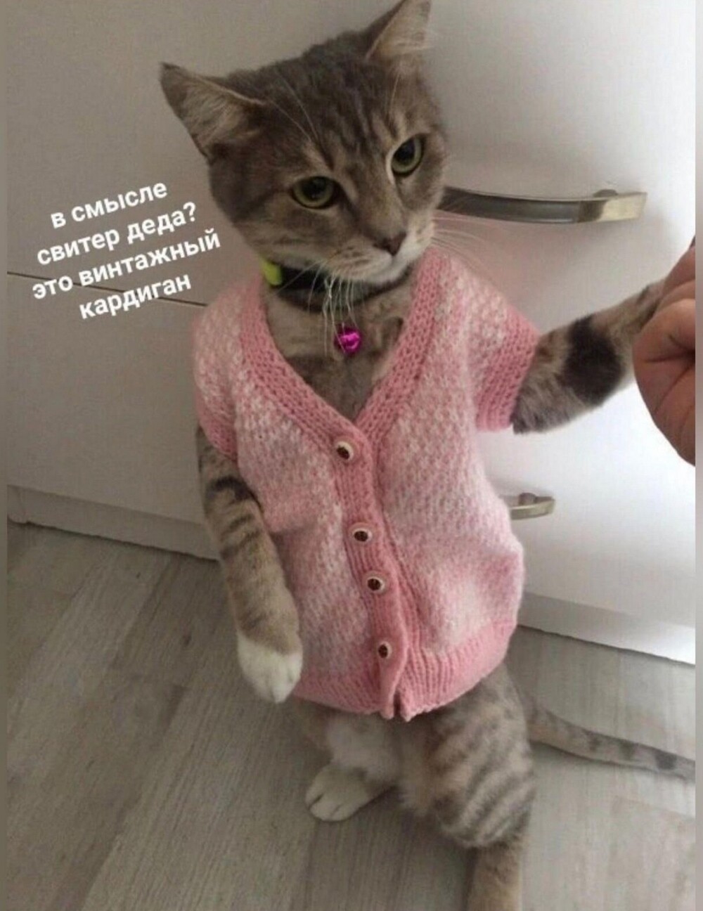 На общую тему 